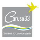 Logo caruso33